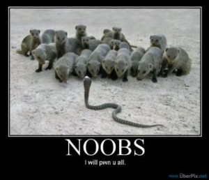 noobs-will-be-pwned