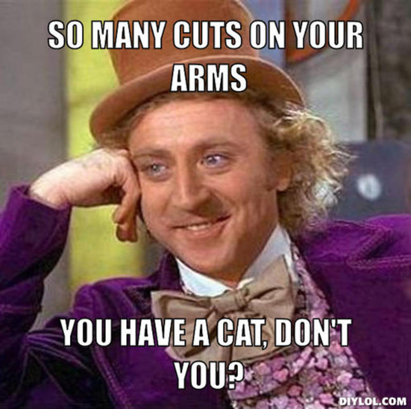 resized_creepy-willy-wonka-meme-generator-so-many-cuts-on-your-arms-you-have-a-cat-don-t-you-b0d209