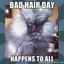 Bad hair day happens to all