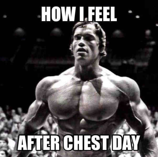 How I feel after chest day