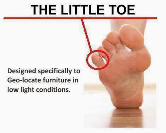 The little toe: designed specifically to geo-locate furniture in low light conditions